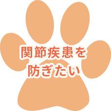 関節疾患を防ぎたい