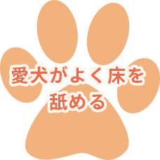 愛犬がよく床を舐める