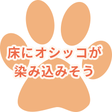 床にオシッコが染み込みそう